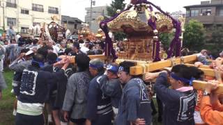 平成27年 日暮里 諏訪神社  大祭  町會神輿渡御 。