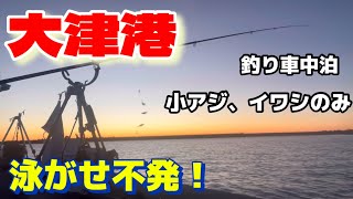 【大津港】小アジ、イワシのみ、泳がせ不発！