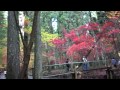 ４ｋ小国神社の紅葉（２）