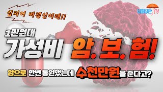 가성비 암보험을 소개합니다. (이 회사만 1만원대로 설계 가능합니다.!)