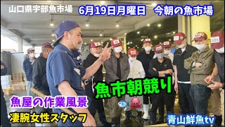 【魚市朝競り】【作業風景🐟】【凄腕女性スタッフ】今朝の魚市場6月19日月曜日の水揚げ状況