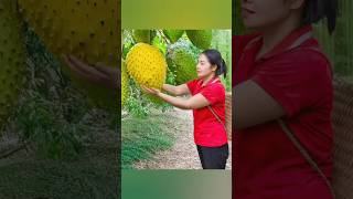 Harvesting Hybrid Custard Apple Go to Market Sell #harvest #harvesting #farmlife