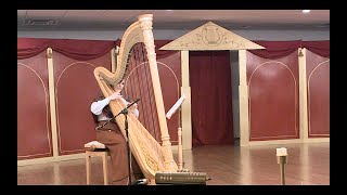 Harp Music - Quando m'en vo'