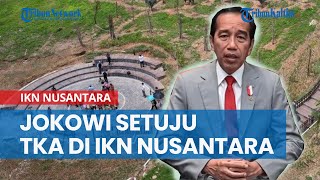 Jokowi Setuju TKA di IKN Nusantara, Kritik DPR: Miris, Anggaran Besar tapi Pakai Tenaga Kerja Asing