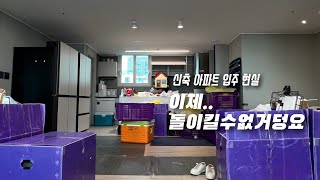 쉽지않네;; 입주 이사 순서를 곁들인.. 신혼집 vlog + 비둘기아기들 (?)