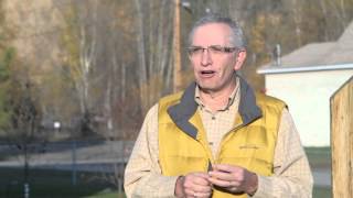 Age-friendly BC - Part 2 - Process