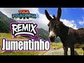 jumentinho versÃo pisadinha remix