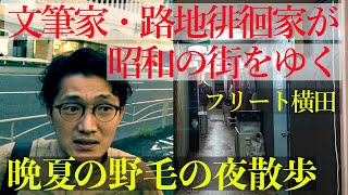 路地裏の泥酔者　70.晩夏の野毛の夜散歩