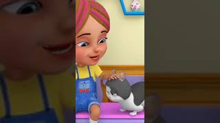 Meow Meow Billi Karti, म्याऊं म्याऊं बिल्ली करती, Nursery Rhymes #shorts #babysongs #kidsvideo