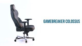 GAMEBREAKER COLOSSUS - Funzioni