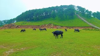 Arghakhanchi , Argha Masurpata. अर्घाखाँची, अर्घा मुसुरपाटाबाट देखिने केही रमाइला दृश्यहरू ।