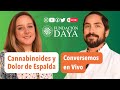 Cannabinoides y Dolor de Espalda / Conversemos en Vivo