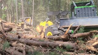 New 848LII Pulling Pine Logs In Louisiana Forest