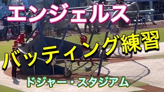 エンジェルス・バッティング練習！@ドジャースタジアム【1番DH・大谷翔平選手】対ロサンゼルス・ドジャース第2戦@ドジャー・スタジアム7/8/2023 #大谷翔平  #ohtani  #エンジェルス