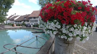 Regensberg, Canton of Zurich, Switzerland