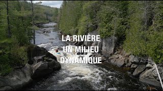 La rivière, un milieu dynamique 🏞