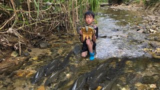 fishing highland boy khai stack rocks, block streams, catch fish harvest turtles and catfish to sell