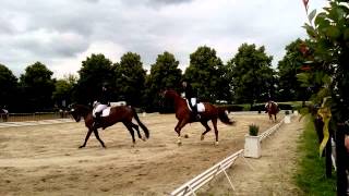 Jana beim Reitturnier Borghorst 14.06.2014