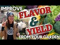 How to Get the Best Flavor & Yields From Your Garden!