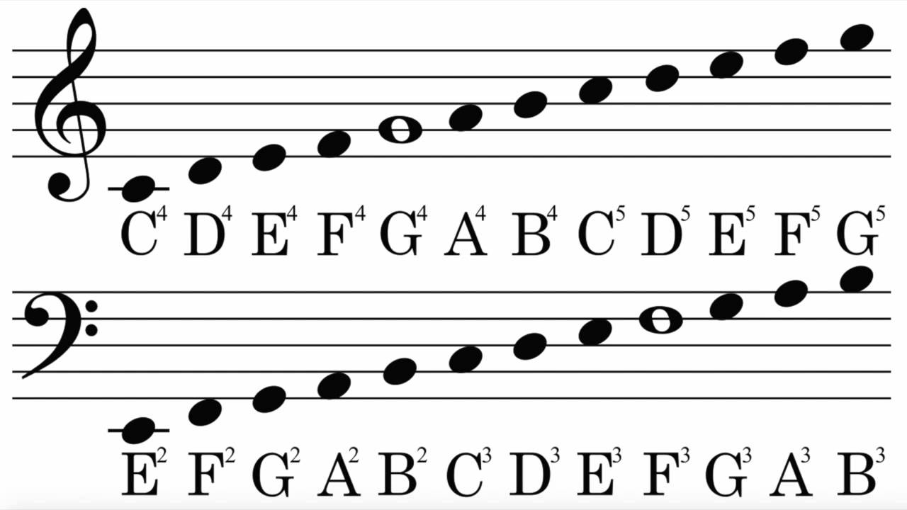 Theory With Ally. Lesson 1 The Major Scale, Treble Clef And Bass Clef ...