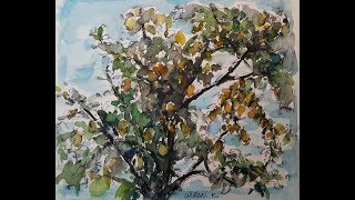 펜과 수채물감으로 모과나무그리기, 힐링그림 #06 | Draw a quince  tree with watercolors | Time laps