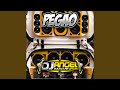 Pegao Car Audio