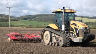 CAT Challenger MT765C Tractor Cultivator Busy Working