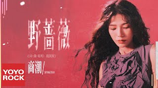 商潮 Shang Chao《野薔薇》Official Lyric Video