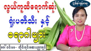 လွယ်ကူထိရောက်ဆုံး ရုံးပတီသီး နှင့် ရောဂါများ၊ health benefit of okra