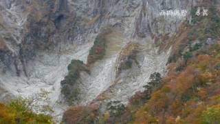 一ノ倉沢　ブナの秋を歩く　４Ｋ