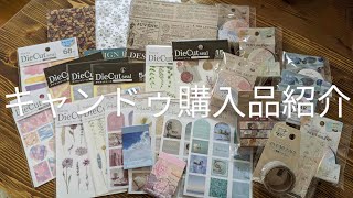 キャンドゥ購入品紹介／コラージュ素材／シールとマスキングテープ／百均／Huge Stationery Haul