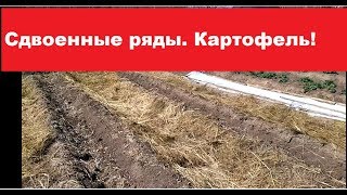 Сдвоенные ряды. Посадка КАРТОФЕЛЯ - 2018г.