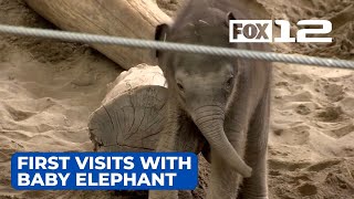 Baby elephant melts hearts as Oregon Zoo visitors get their first look