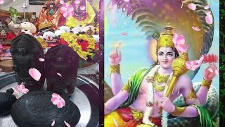 Live venkateswara Songs | Devotional songs live | live venkateswara swamy songs