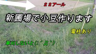 新【丹波大納言小豆】第１回　耕起した　新しい圃場の様子を伝えます　問題は　水はけの悪さ　湿気を嫌う小豆が育つのか　長い旅の始まりです　よければ見てくれさい