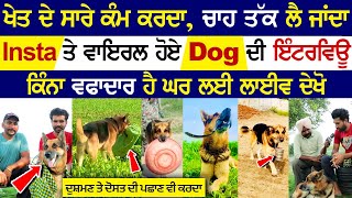 Dog's interview went viral on Insta ||  ਸ਼ਬਦ Shabad