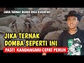 JIKA TERNAK DOMBA SEPERTI INI PASTI KANDANG CEPAT PENUH | @AGROTV9