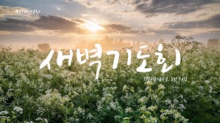 221102_새벽기도회_(김기주 목사)_부천의성교회