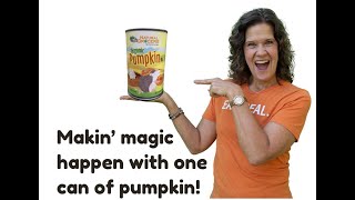 Turn One Can of Pumpkin into a Delicious Dessert AND a Creamy Dreamy Breakfast!