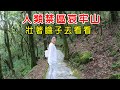 自駕遊雲南尋找小院，走進真實的哀牢山，原始森林人類的禁區The true human-forbidden zone of the Ailao Mountains#哀牢山#人類禁區