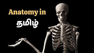 Introduction of Anatomy || Basic terms in Anatomy || In Tamil