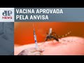 Saúde estuda inclusão da vacina contra dengue no SUS