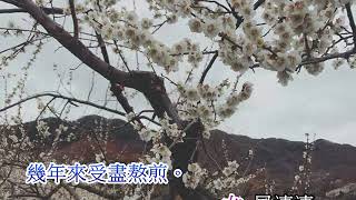 胡二賣仔  蕭志炎\u0026丁萍夾唱20190304