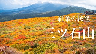 【三ツ石山　紅葉】見たかった！圧巻の景色！岩手の三ツ石山の紅葉の絨毯を見に行きました