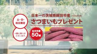 緑と風のガーデン　イベント「２０１６年１１月サツマイモ」篇