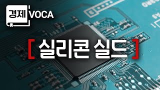 오늘의 경제용어 [ 실리콘 실드 ] | 경제VOCA