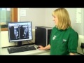 Advantages for vet practices of moving from chemical to digital X-ray video