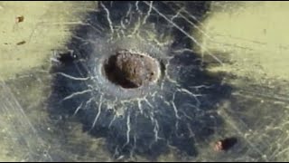 Earth Disaster is Coming | The Great Impact
