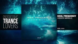 Soul Frequency - Hidden Miracle