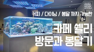 카페 쉘리에서 이쁜 플레이트 산호 봉달 했어요